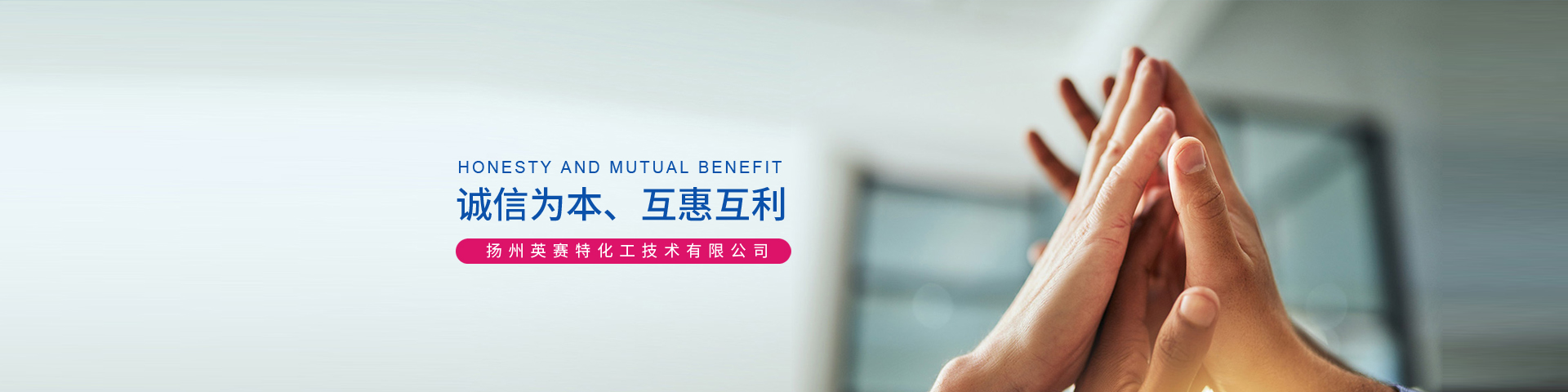 揚(yáng)州英賽特化工技術(shù)有限公司